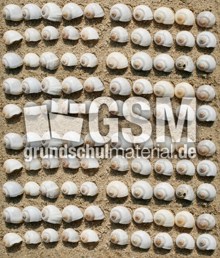 Schneckenhäuser-100.jpg